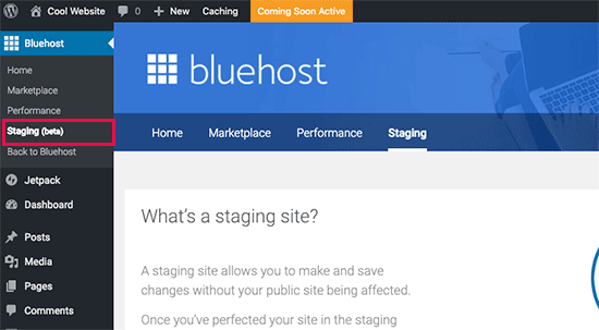 Membuat situs pementasan di Bluehost