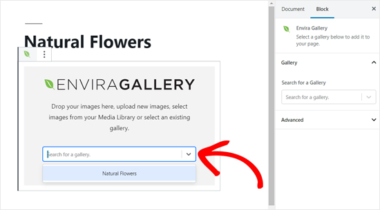Pilih Galeri Envira untuk ditambahkan ke Posting WordPress Anda