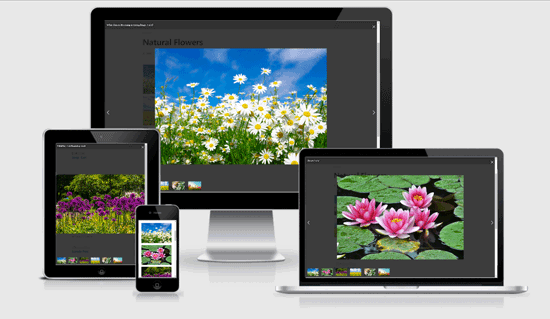 Galeri Foto WordPress Responsif