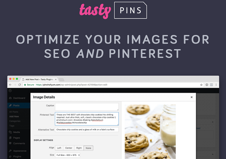 TastyPins, Plugin Pinterest