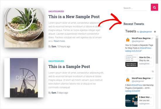 Tweet Terbaru di Situs Demo WordPress - Dengan Widget Teks