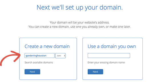 Pemeriksa domain Bluehost