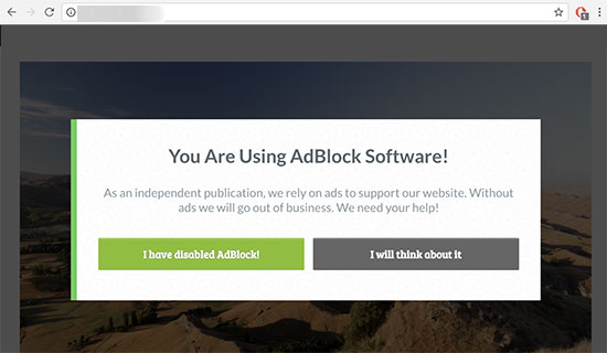 Munculan detektor AdBlock