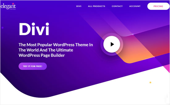 Pembuat Situs Web Divi