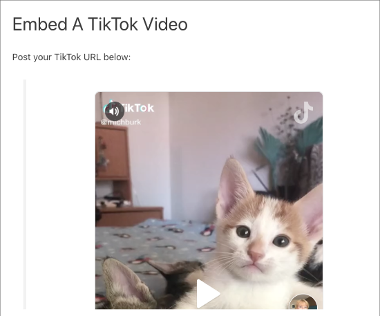 Video TikTok tertanam