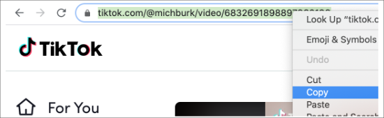 Salin URL TikTok