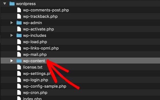 wp-content 