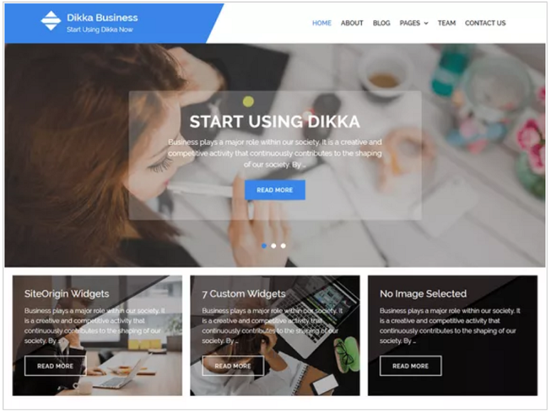 Dikka_Business_WordPress_theme, tema keuangan