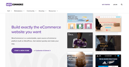 Situs web WooCommerce