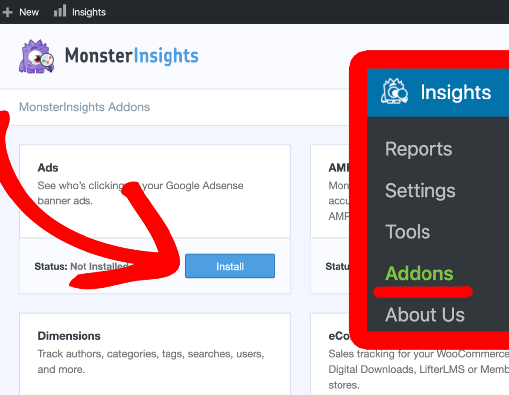 addon iklan monsterinsights