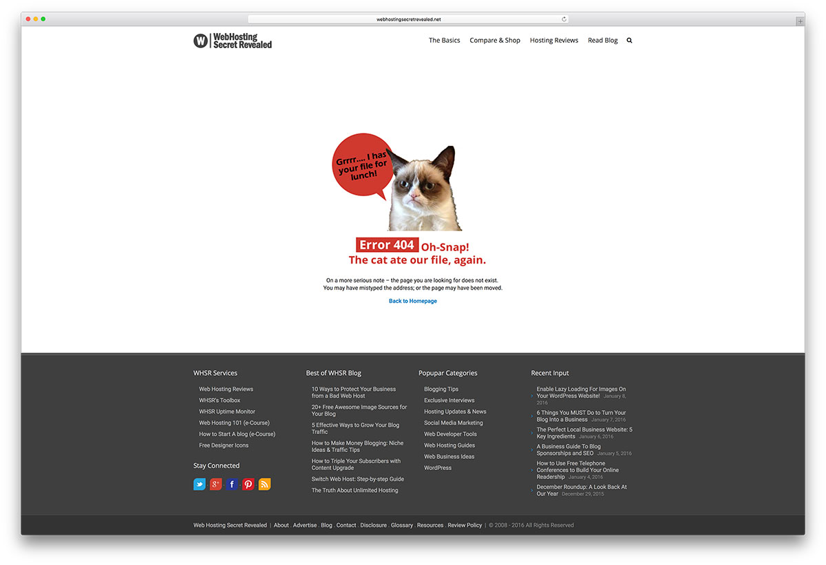 webhostingsecretrevealed-error-page-example