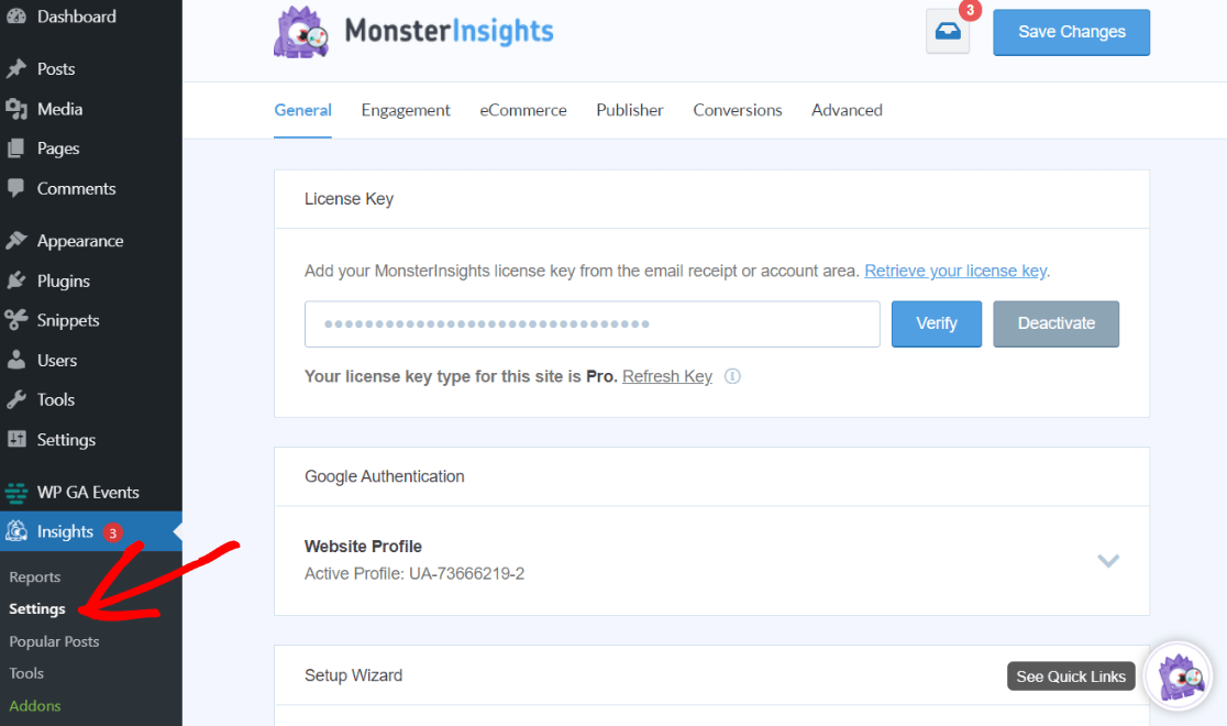 Pengaturan MonsterInsights