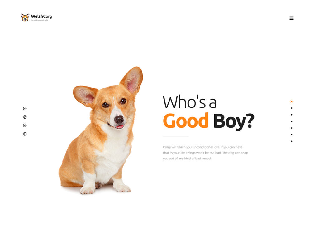 Corgi Wales |  Tema WordPress Pemuliaan dan Penjualan Anjing