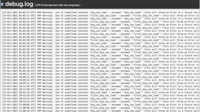 Debug.log Berisi Pesan Kesalahan dan Stempel Waktu