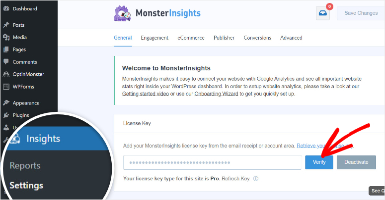 pengaturan monsterinsights