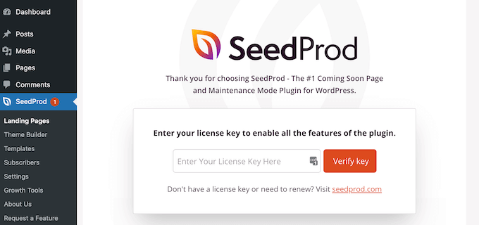 Pembuat halaman SeedProd untuk WordPress.