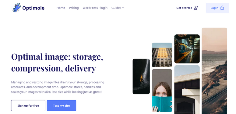 optimol gambar terbaik plugin lazy load wordpress