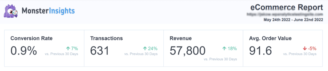 Laporan PDF eCommerce MonsterInsights