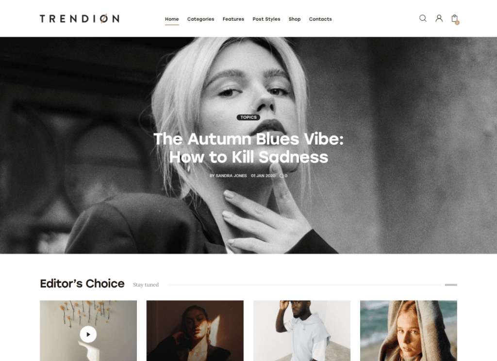 Trendion - Tema Blog dan Majalah Gaya Hidup Pribadi WordPress