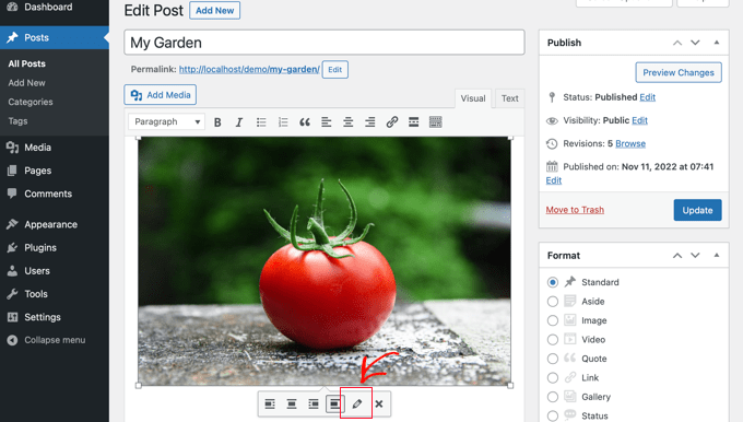 Mengedit gambar di editor klasik WordPress