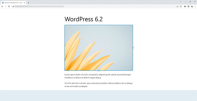 Editor bebas gangguan di WordPress 6.2