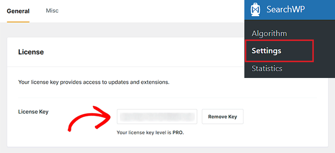 Masukkan kunci lisensi SearchWP Anda