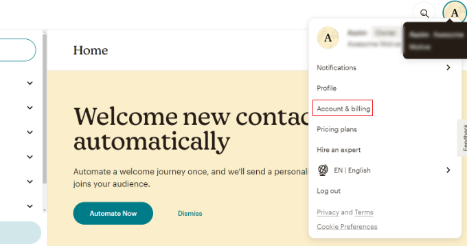 Klik avatar Mailchimp Anda